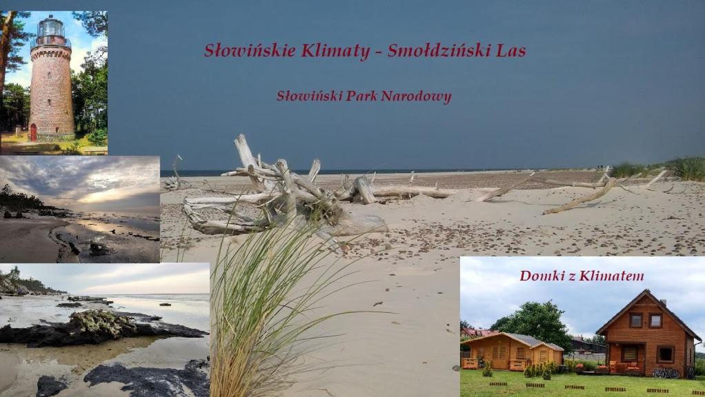 Domek Z Klimatem Смолдзиньски-Ляс Экстерьер фото